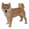 Hi-Line Gifts Standing Shiba Inu Outdoor Garden Statue - 19.5"
